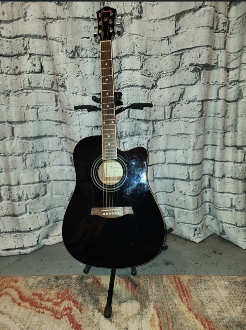 Ibanez V70CE